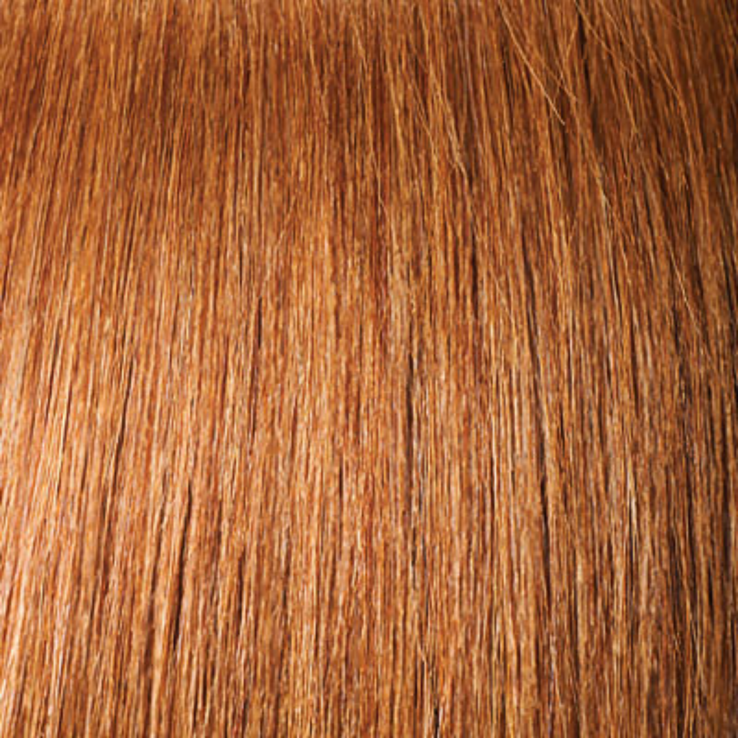 14A Color 13x4 Frontal Wig Straight